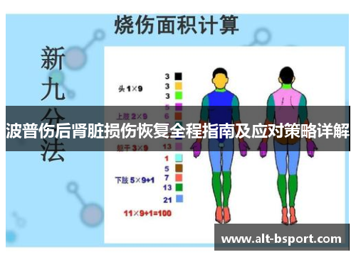 波普伤后肾脏损伤恢复全程指南及应对策略详解