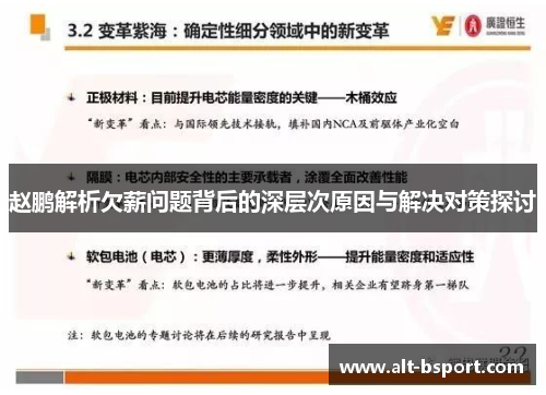 赵鹏解析欠薪问题背后的深层次原因与解决对策探讨
