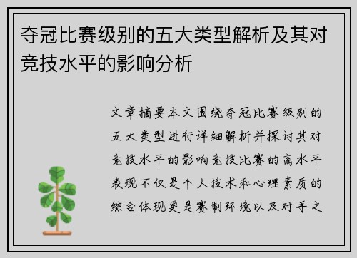 夺冠比赛级别的五大类型解析及其对竞技水平的影响分析